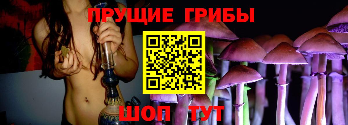 Кострома  Галлюциногенные грибы Psilocybine cubensis  Вход с VPN 